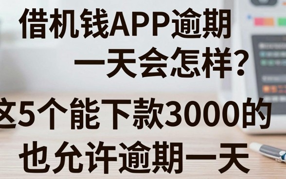 手机借钱APP逾期一天会怎样?这5个能下款3000的平台也允许逾期一天