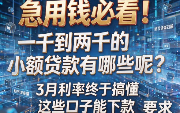 急用钱必看!一千到两千的小额贷款有哪些呢?3月利率终于搞懂,这些口子能下款!