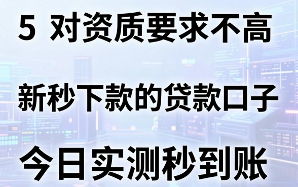 5个对资质要求不高的新秒下款的贷款口子,今日实测秒到账!
