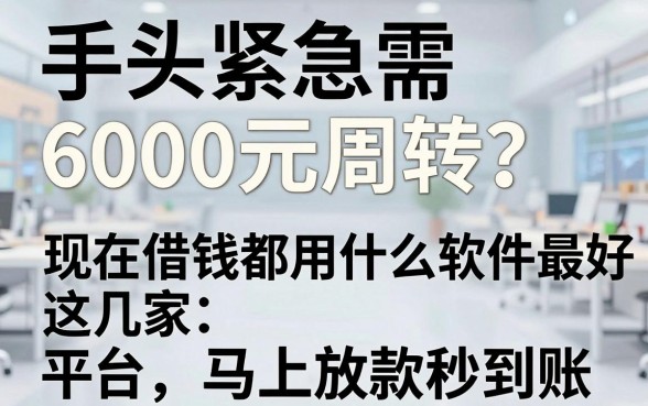 手头紧急需6000元周转?现在借钱都用什么软件最好,这几家平台马上放款秒到账!