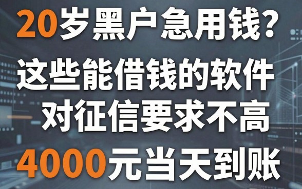 20岁黑户急用钱?这些能借钱的软件对征信要求不高,4000元当天到账!