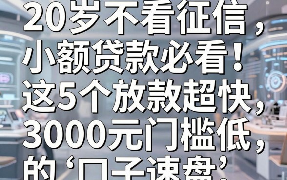 20岁不看征信小额贷款必看!这5个放款超快、3000元门槛低的口子速盘