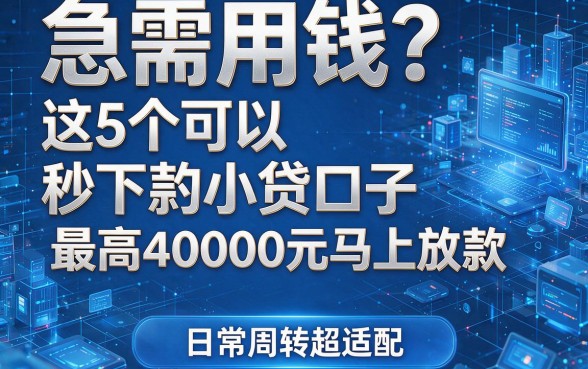 急需用钱?这5个可以秒下款的小贷口子,最高40000元马上放款,日常周转超适配