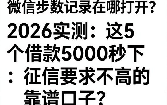 微信步数记录在哪打开?2026实测这5个借款5000秒下、征信要求不高的靠谱口子