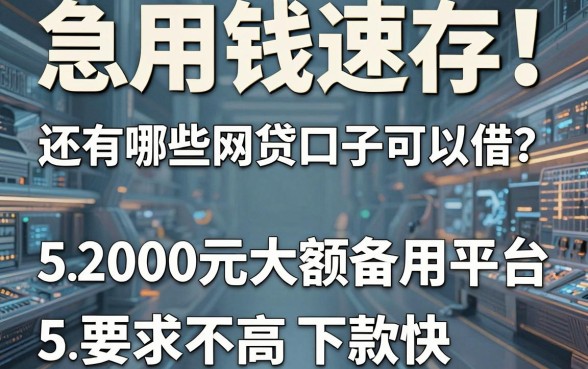 急用钱速存!还有哪些网贷口子可以借?这5个2000元大额备用平台,要求不高下款快