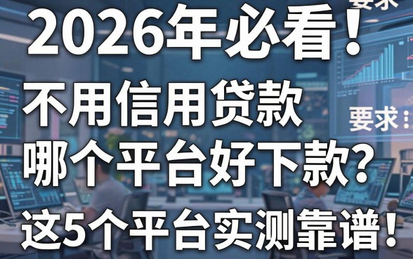 2026年必看!不用信用贷款哪个平台好下款?这5个平台实测靠谱!