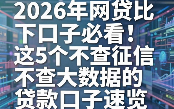 2026年网贷比下口子必看！这5个不查征信不查大数据的贷款口子速览