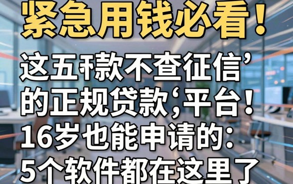 紧急用钱必看!这五款不查征信的正规贷款平台,16岁也能申请的5个软件都在这里了