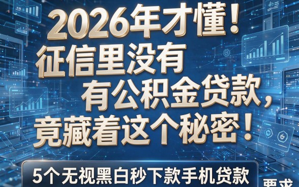 2026年才懂!征信里没有公积金贷款,竟藏着这个秘密!附5个无视黑白秒下款手机贷款