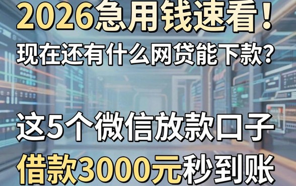 2026急用钱速看！现在还有什么网贷能下款？这5个微信放款口子，借款3000元秒到账！