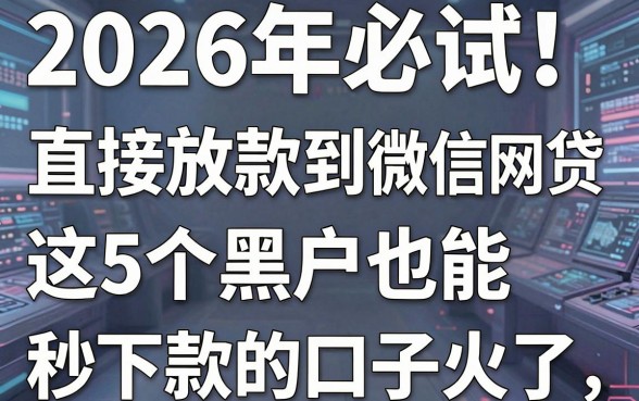 2026年必试！直接放款到微信的网贷，这5个黑户也能秒下款的口子火了