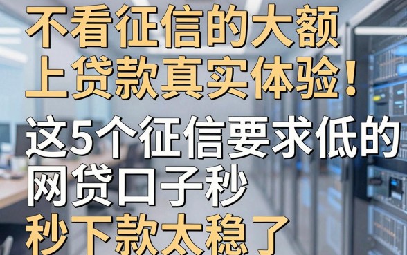 不看征信的大额线上贷款真实体验！这5个征信要求低的网贷口子秒下款太稳了