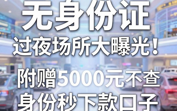 无身份证过夜场所大曝光!附赠5000元不查身份秒下款口子