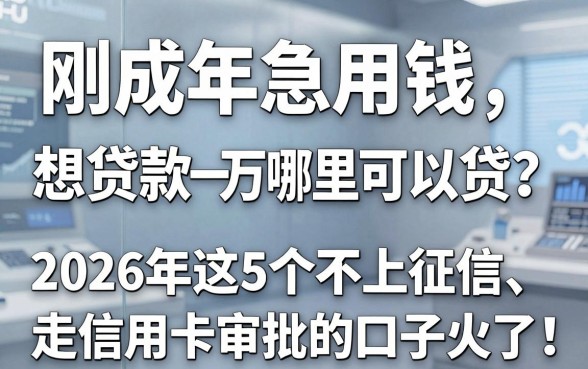 刚成年急用钱想贷款一万哪里可以贷?2026年这5个不上征信、走信用卡审批的口子火了!