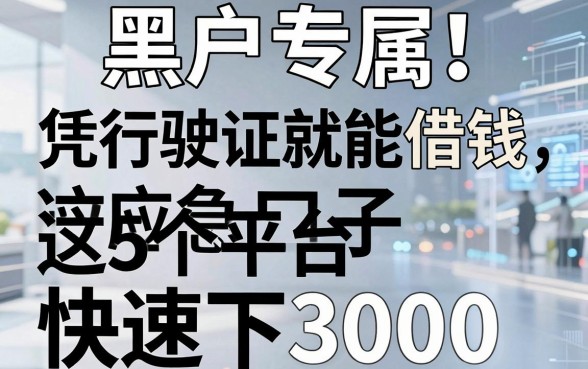 黑户专属!凭行驶证就能借钱的应急口子,这5个平台快速下3000