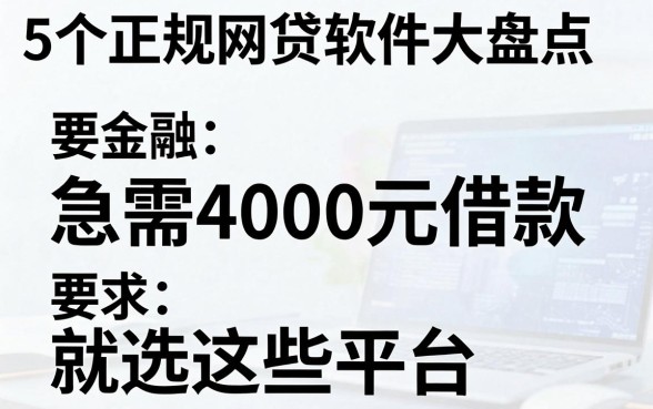 5个正规网贷软件大盘点,急需4000元借款就选这些平台