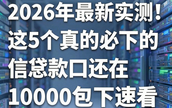 2026年最新实测!这5个真的必下的贷款口子,信息差还在,10000包下速看!