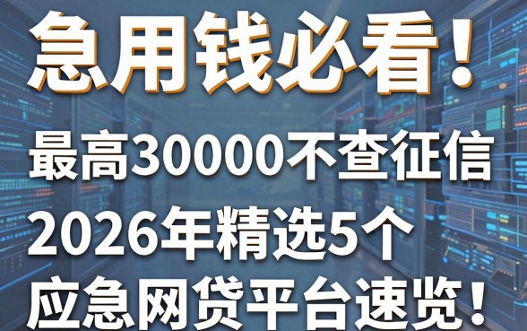急用钱必看!最高30000不查征信,2026年精选5个应急网贷平台速览