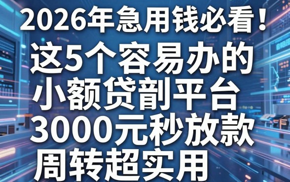 2026年急用钱必看!这5个容易办的小额贷款平台,3000元秒放款周转超实用