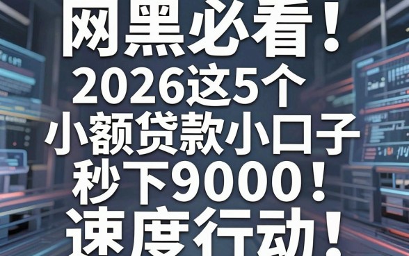 网黑必看!2026这5个小额贷款小口子秒下9000,速度行动