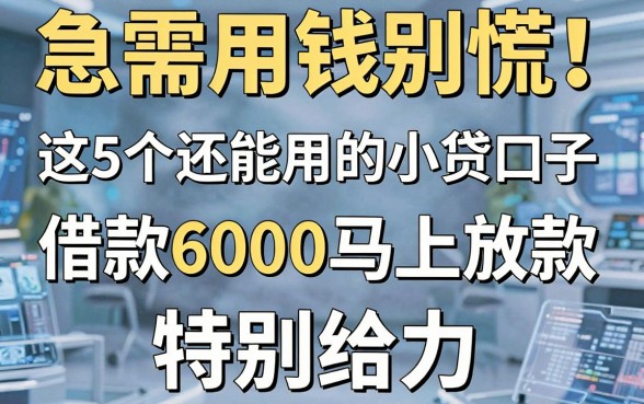 急需用钱别慌!这5个还能用的小贷口子,借款6000马上放款,特别给力