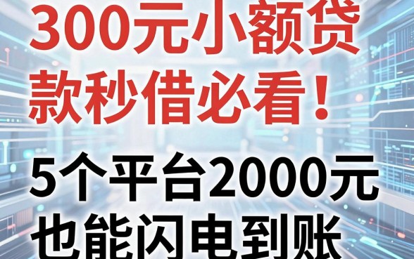 300元小额贷款秒借必看!这5个平台2000元也能闪电到账