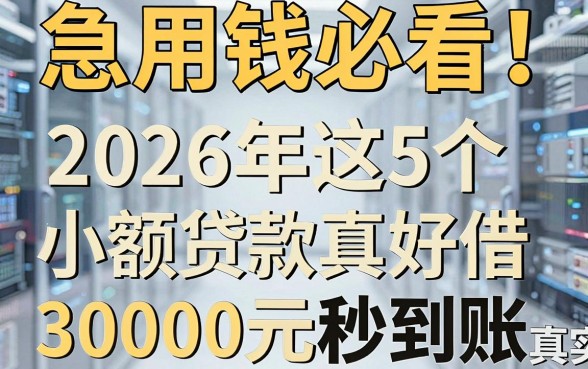 急用钱必看！2026年这5个小额贷款真好借，30000元秒到账真实分享