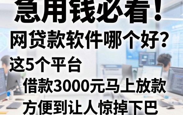 急用钱必看!网贷款软件哪个好?这5个平台借款3000元马上放款,方便到让人惊掉下巴
