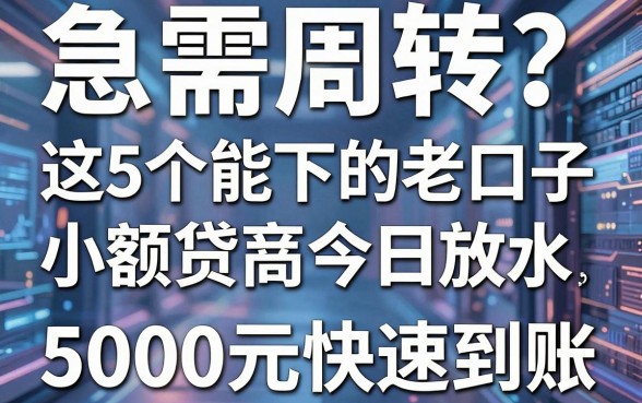 急需周转？这5个能下的老口子小额贷款今日放水，5000元快速到账！