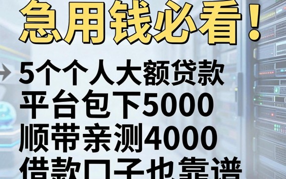 急用钱必看！这5个个人大额贷款平台包下5000，顺带亲测4000借款口子也靠谱