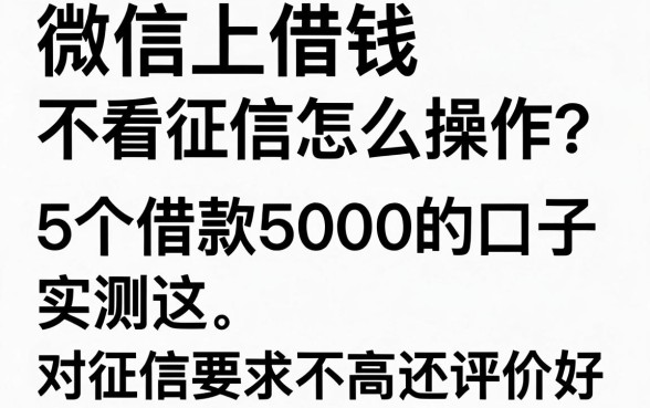 微信上借钱不看征信怎么操作?实测这5个借款5000的口子,对征信要求不高还评价好