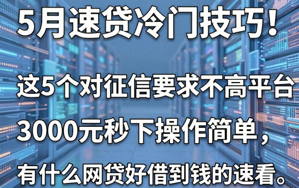 5月速贷冷门技巧!这5个对征信要求不高的网贷平台,3000元秒下操作简单,有什么网贷好借到钱的速看