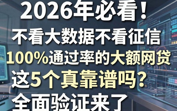 2026年必看！不看大数据不看征信100%通过率的大额网贷，这5个真靠谱吗？全面验证来了！