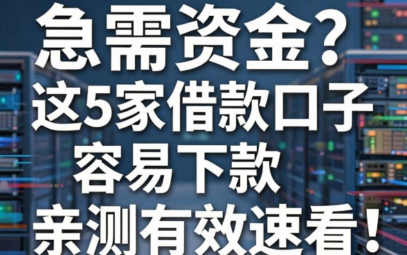 急需资金?这5家借款口子容易下款,亲测有效速看!