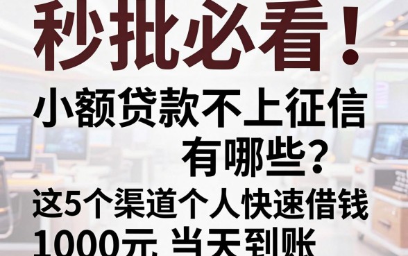 秒批必看!小额贷款不上征信有哪些?这5个渠道个人快速借钱1000元当天到账
