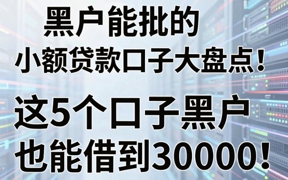 黑户能批的小额贷款口子大盘点!这5个口子黑户也能借到30000