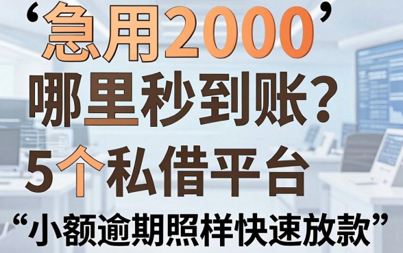 急用2000哪里秒到账?19岁也能申请的5个私借平台,小额逾期照样快速放款!