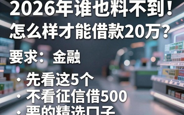 2026年谁也料不到！怎么样才能借款20万？先看这5个不看征信借500的精选口子
