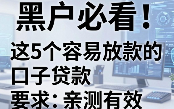 黑户必看！这5个容易放款的口子贷款亲测有效