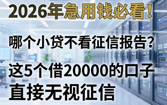 2026年急用钱必看!哪个小贷不看征信报告?这5个借20000的口子直接无视征信