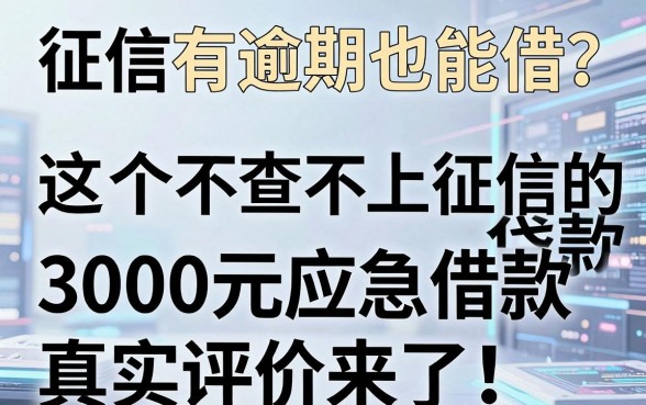 征信有逾期也能借?这5个不查不上征信的贷款渠道,3000元应急借款真实评价来了!
