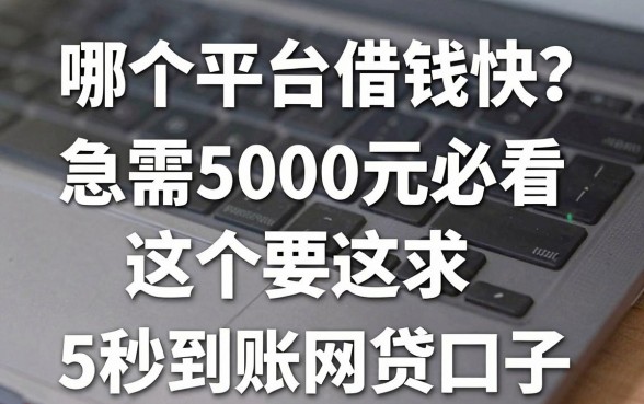 手机哪个平台借钱快?急需5000元必看这5个秒到账网贷口子
