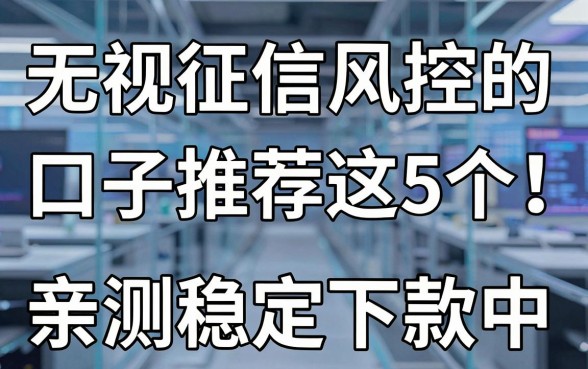 无视征信风控的口子推荐这5个!亲测稳定下款中