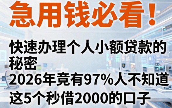 急用钱必看!快速办理个人小额贷款的秘密,2026年竟有97%人不知道这5个秒借2000的口子