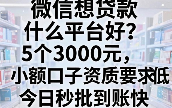 微信想贷款什么平台好？这5个3000元小额口子资质要求低，今日秒批到账快！