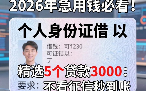 2026年急用钱必看！个人身份证借钱可以，精选5个贷款3000不看征信秒到账