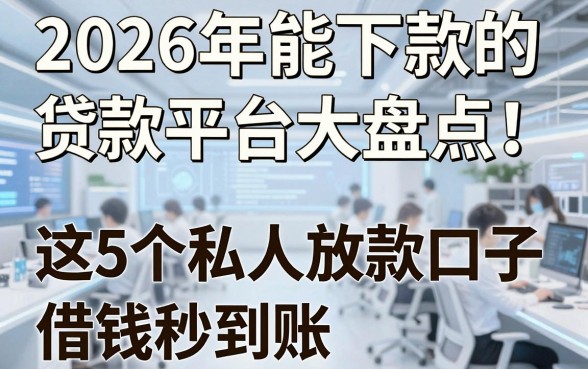 2026年能下款的贷款平台大盘点!这5个私人放款口子借钱秒到账