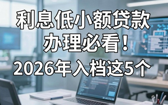 利息低小额贷款办理必看!2026年入档这5个,本篇为您细致盘点!