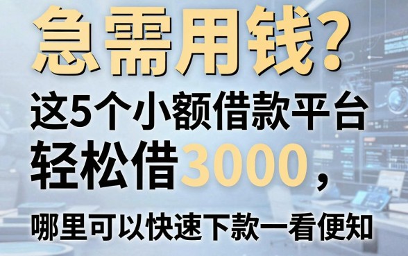 急需用钱？这5个小额借款平台轻松借3000，哪里可以快速下款一看便知