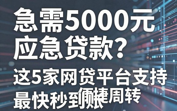 急需5000元应急贷款？这5家网贷平台支持便捷周转，最快秒到账！